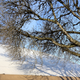 Illustration for article titled Pics from the Curbside: 2018-02-12 to The Boulevards
